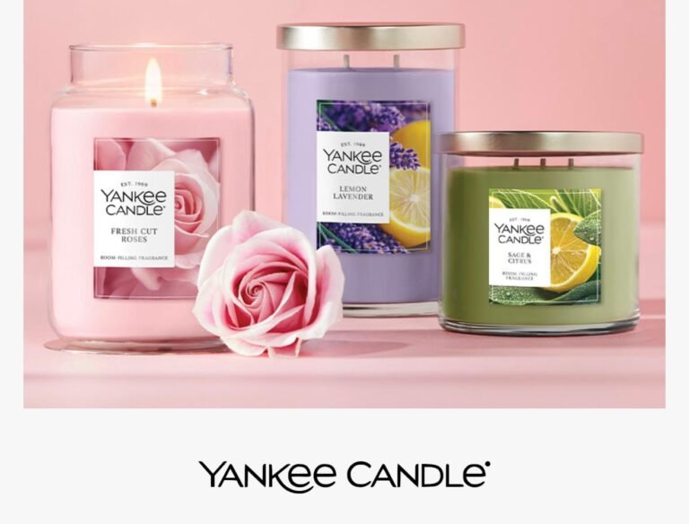 WhatsApp Image 2026-02-16 at 03.20