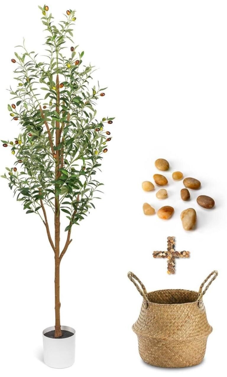 WhatsApp Image 2026-02-16 at 03.30