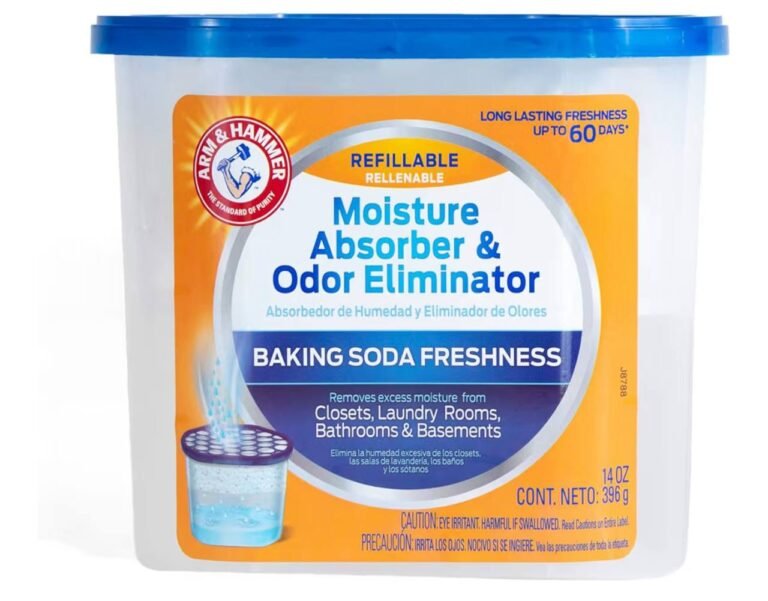 WhatsApp Image 2026-02-17 at 02.36