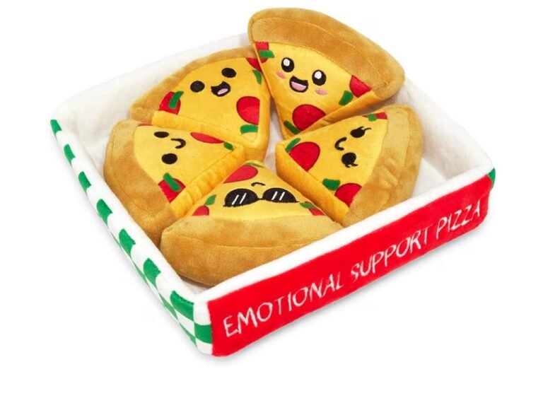 WhatsApp Image 2026-02-17 at 02.36