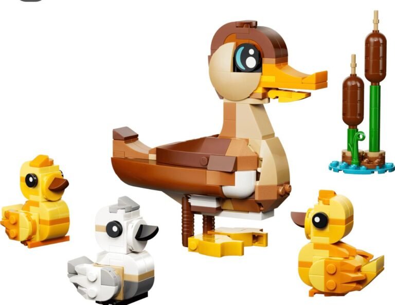 WhatsApp Image 2026-02-17 at 04.39