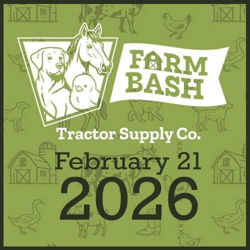 WhatsApp Image 2026-02-17 at 21.37