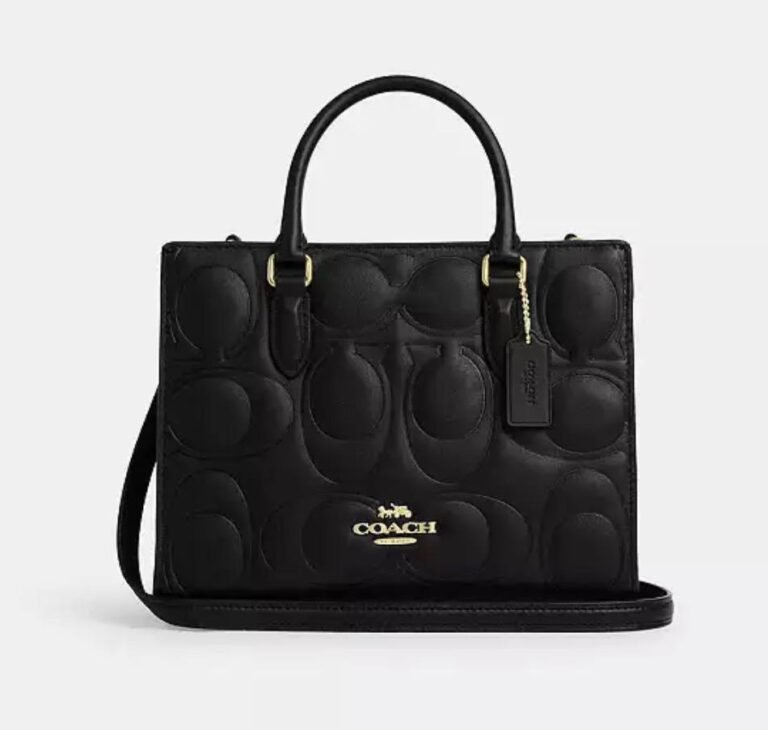 WhatsApp Image 2026-02-18 at 03.49