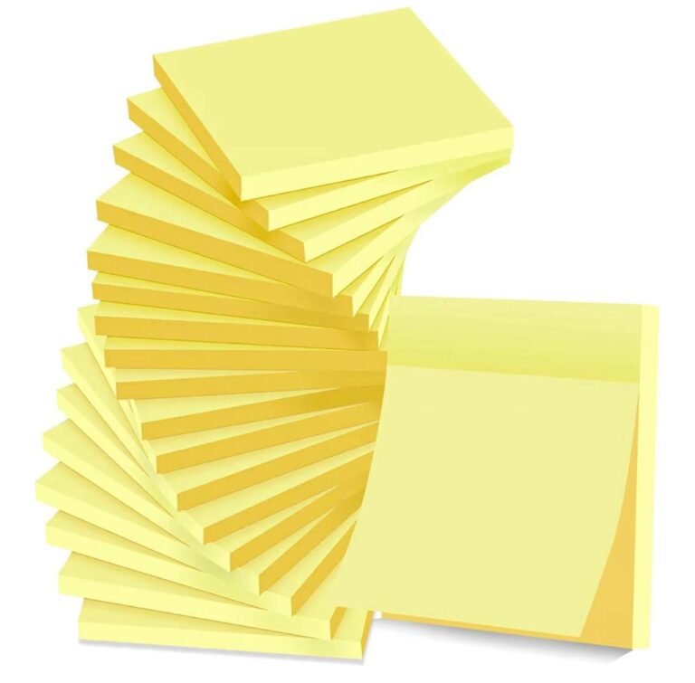 WhatsApp Image 2026-02-19 at 04.46