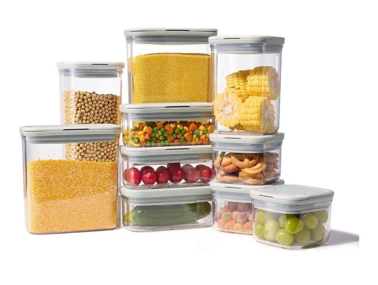 WhatsApp Image 2026-02-19 at 04.49