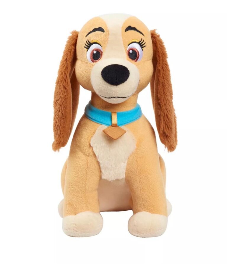 WhatsApp Image 2026-02-21 at 04.06