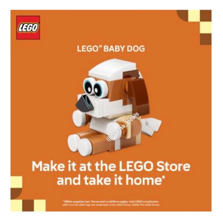 WhatsApp Image 2026-02-22 at 02.44