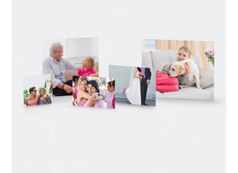 WhatsApp Image 2026-02-25 at 19.50