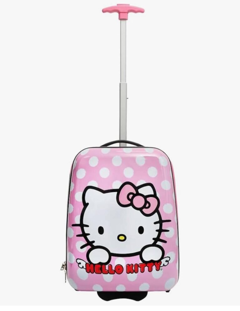 WhatsApp Image 2026-02-26 at 00.01