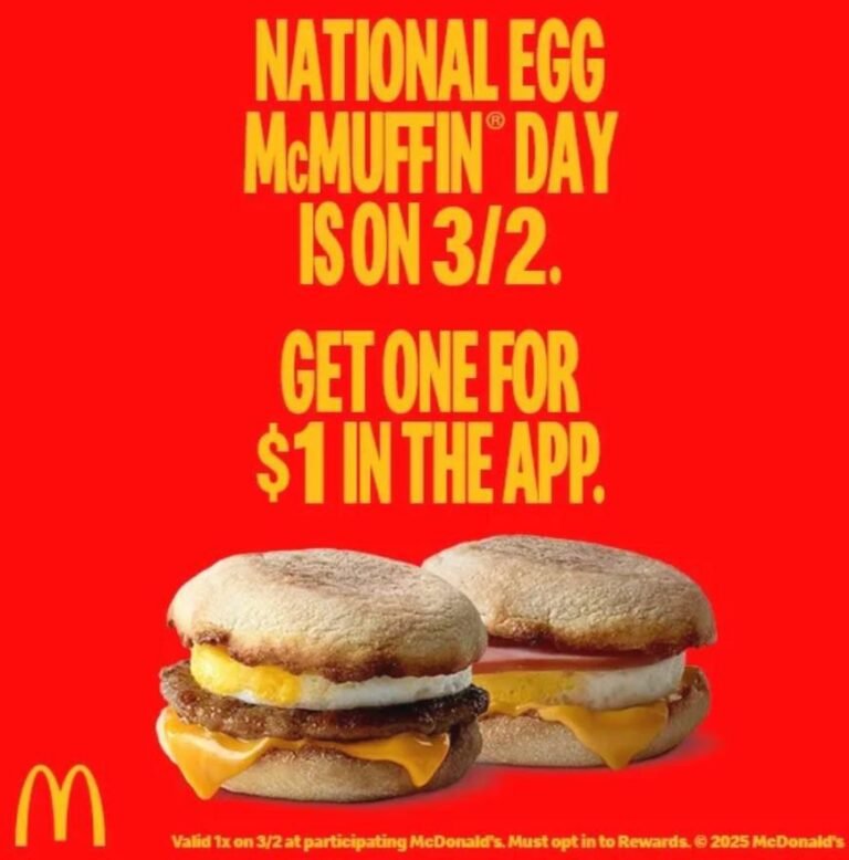 WhatsApp Image 2026-02-26 at 03.16