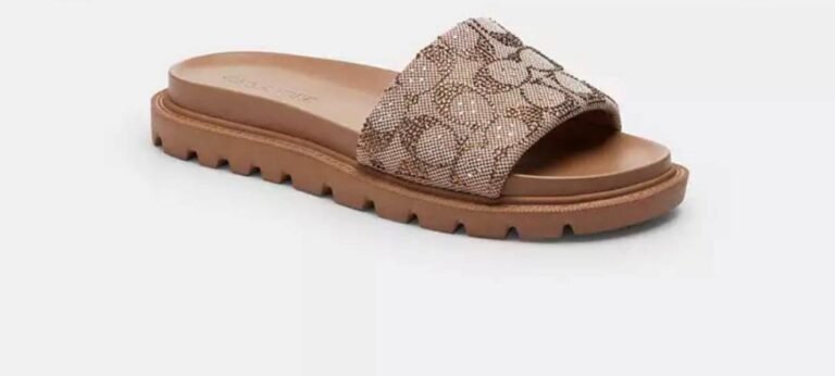 WhatsApp Image 2026-03-02 at 03.19