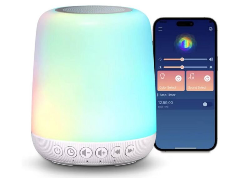 WhatsApp Image 2026-03-02 at 04.31