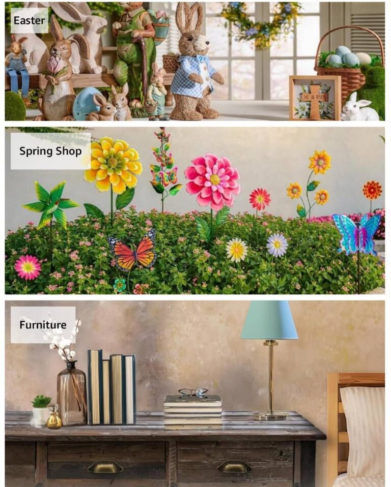 WhatsApp Image 2026-03-03 at 03.18