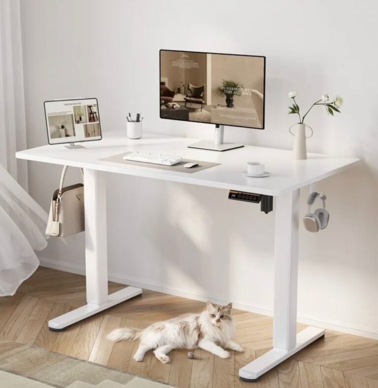 WhatsApp Image 2026-03-04 at 03.44