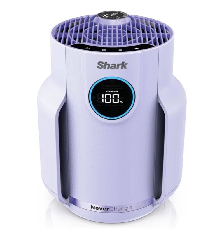 WhatsApp Image 2026-03-08 at 03.35