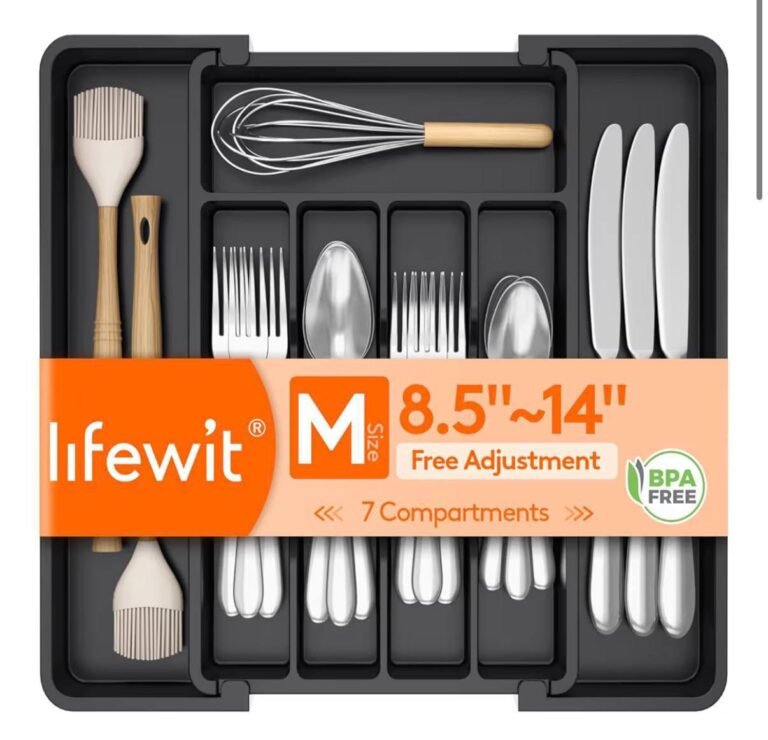 WhatsApp Image 2026-03-09 at 00.17