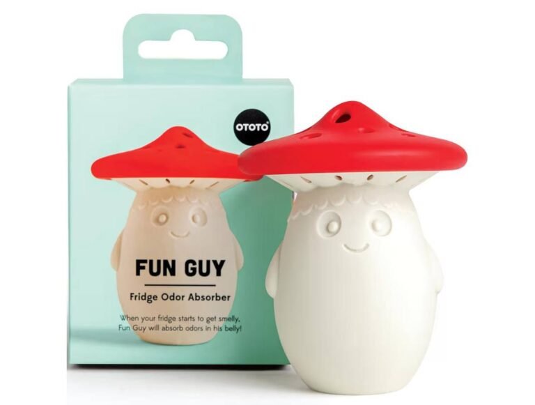 WhatsApp Image 2026-03-14 at 01.15