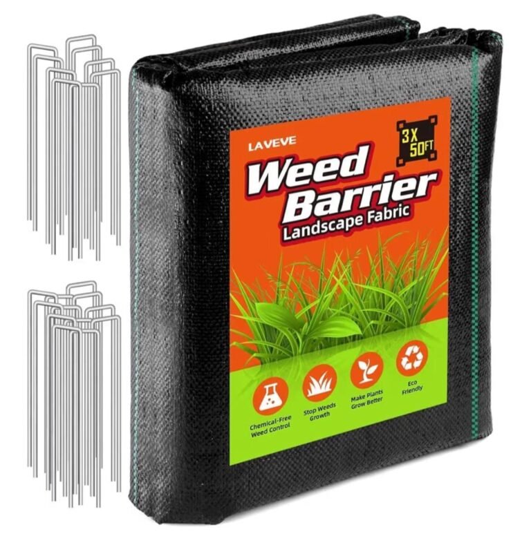 WhatsApp Image 2026-03-14 at 04.30