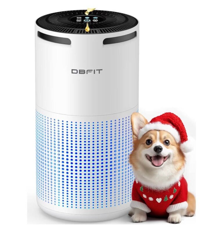 WhatsApp Image 2026-03-15 at 03.12