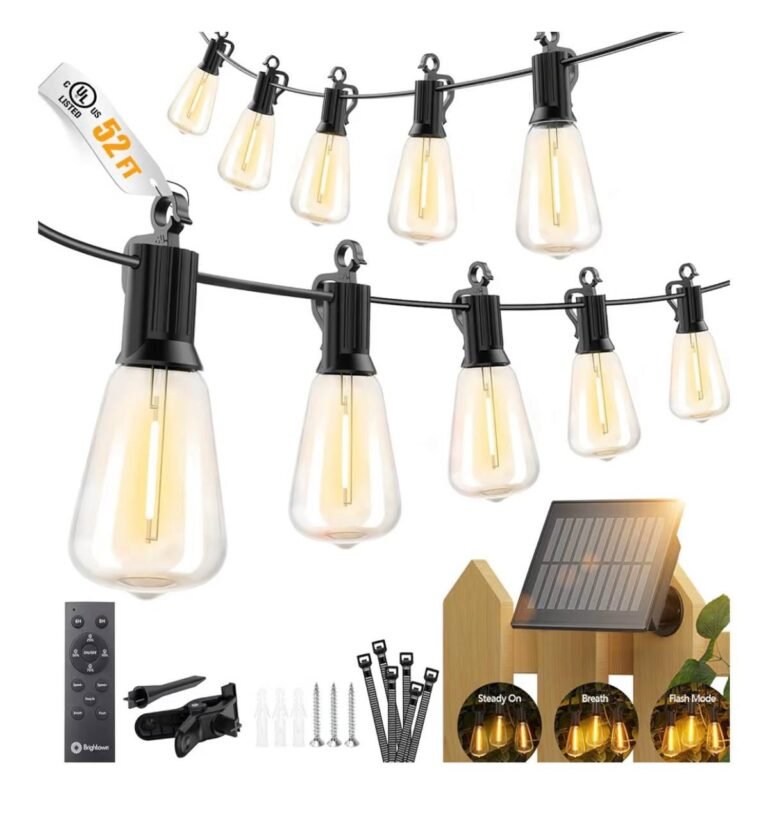 WhatsApp Image 2026-03-16 at 03.36