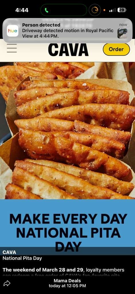 WhatsApp Image 2026-03-17 at 04.46