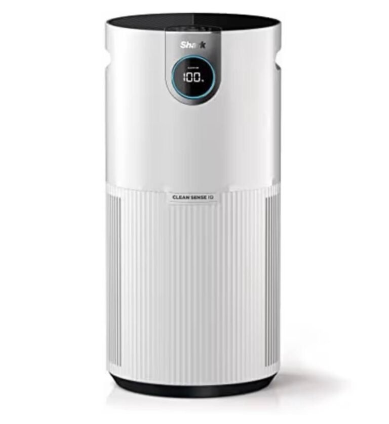 WhatsApp Image 2026-03-19 at 00.29