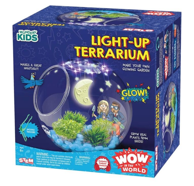 WhatsApp Image 2026-03-20 at 00.03