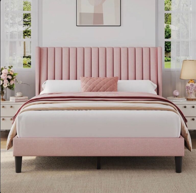 WhatsApp Image 2026-03-21 at 20.46