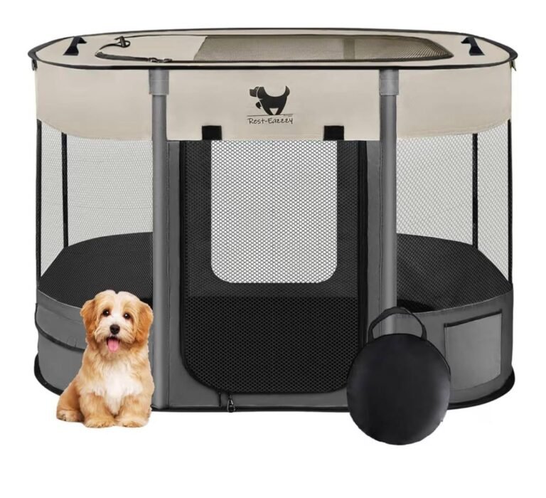 WhatsApp Image 2026-03-22 at 02.01