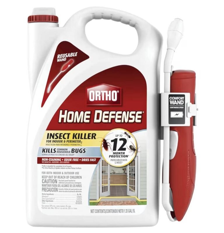 WhatsApp Image 2026-03-22 at 02.15