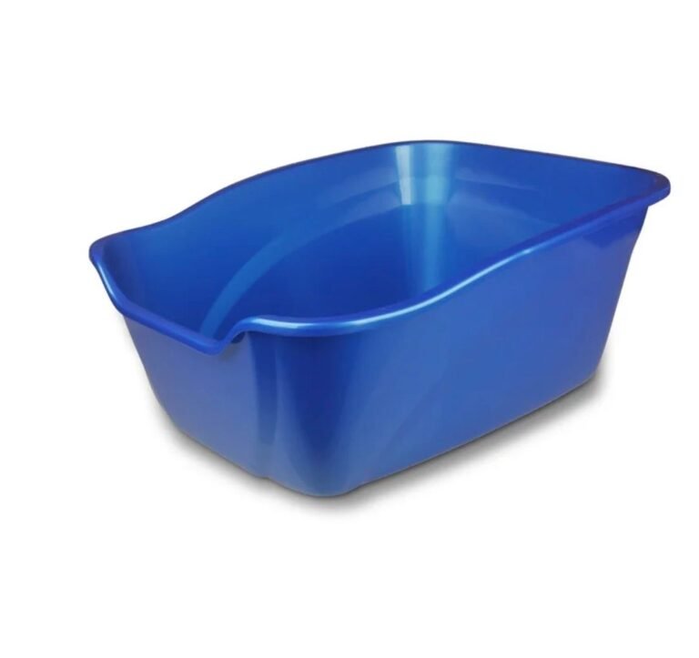 WhatsApp Image 2026-03-22 at 02.41