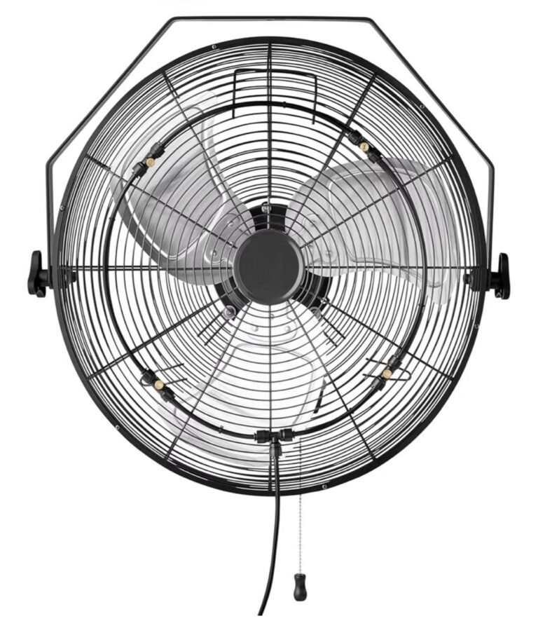 WhatsApp Image 2026-03-25 at 03.53