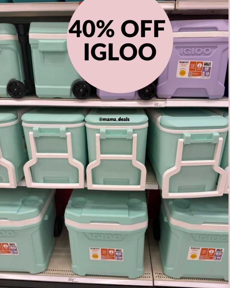 WhatsApp Image 2026-03-26 at 02.34