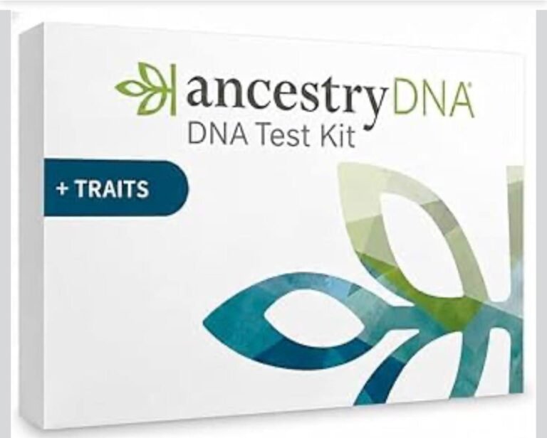 WhatsApp Image 2026-03-27 at 02.45