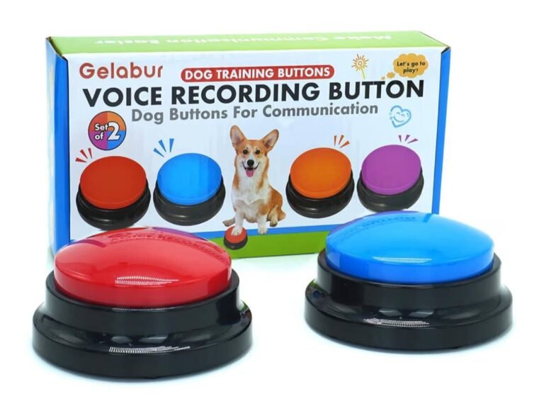 WhatsApp Image 2026-04-03 at 02.40