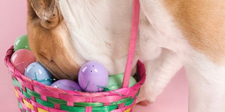 WhatsApp Image 2026-04-04 at 03.38