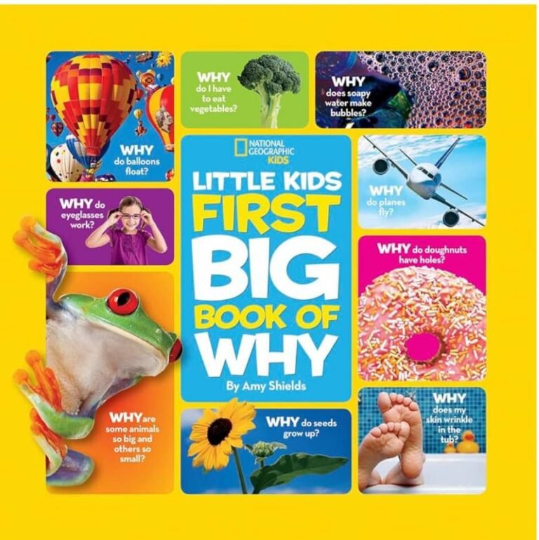 WhatsApp Image 2026-04-08 at 04.09