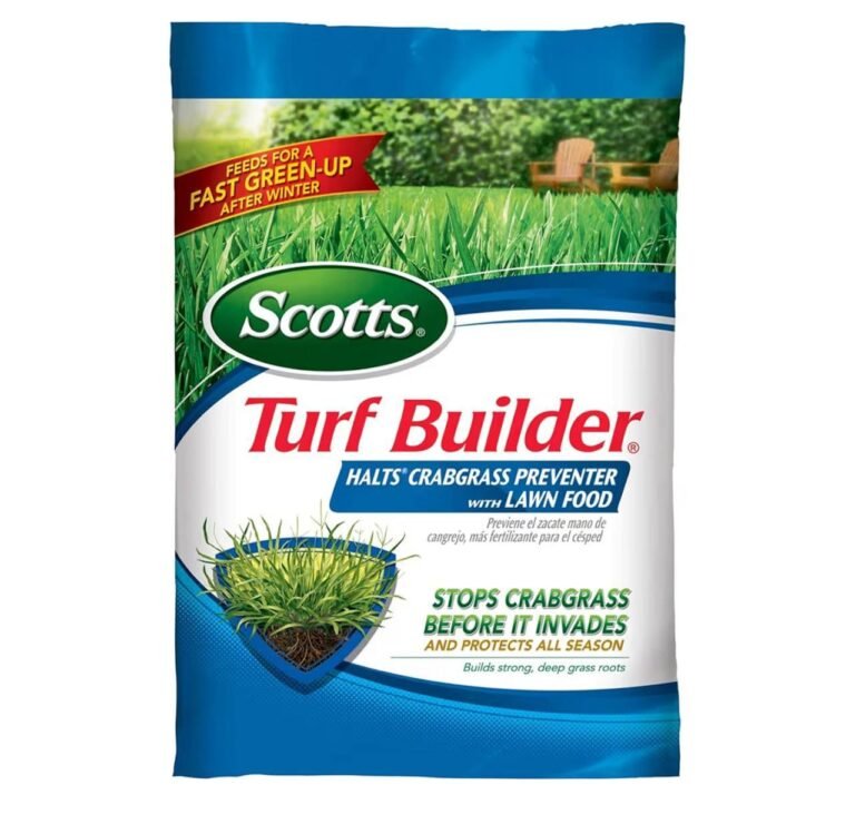 WhatsApp Image 2026-04-10 at 01.22