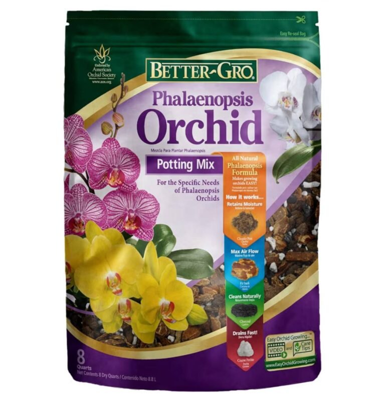 WhatsApp Image 2026-04-11 at 04.01