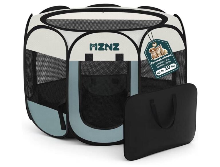 WhatsApp Image 2026-04-11 at 04.24