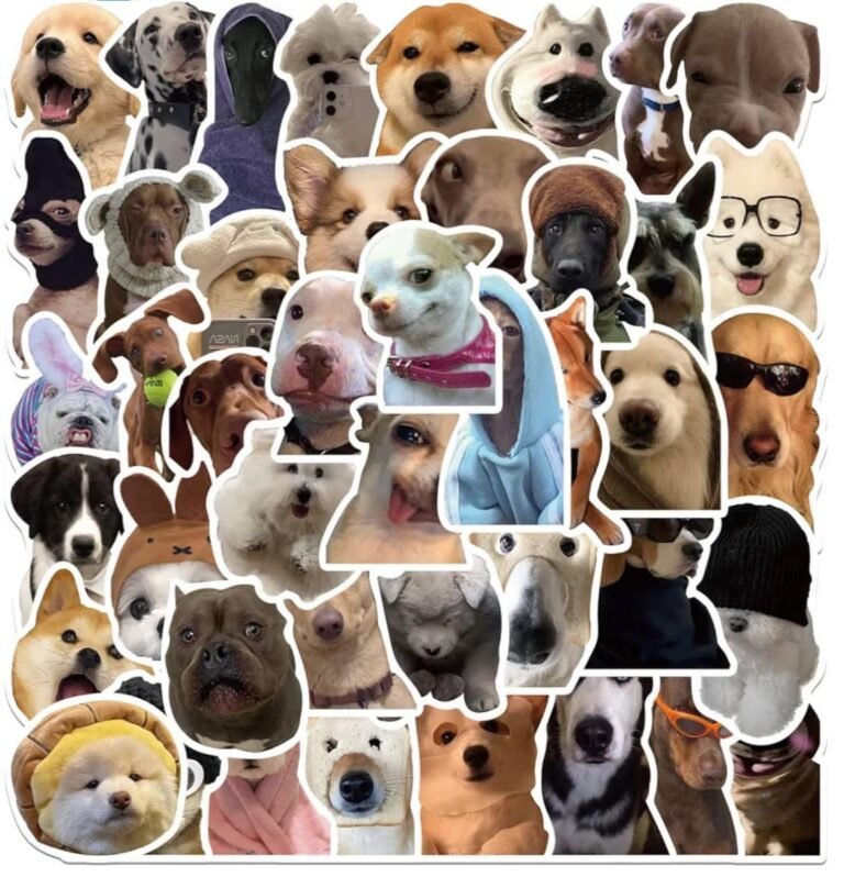 WhatsApp Image 2026-04-11 at 20.03