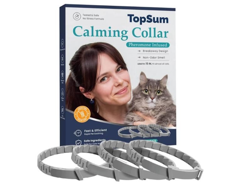 WhatsApp Image 2026-04-12 at 00.53