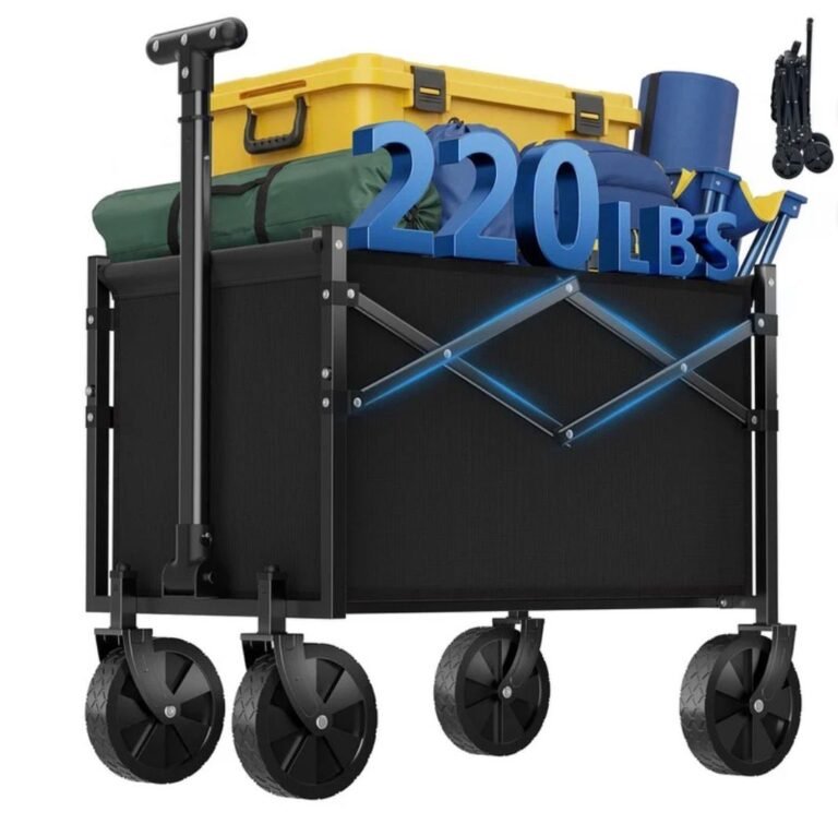 WhatsApp Image 2026-04-13 at 21.55