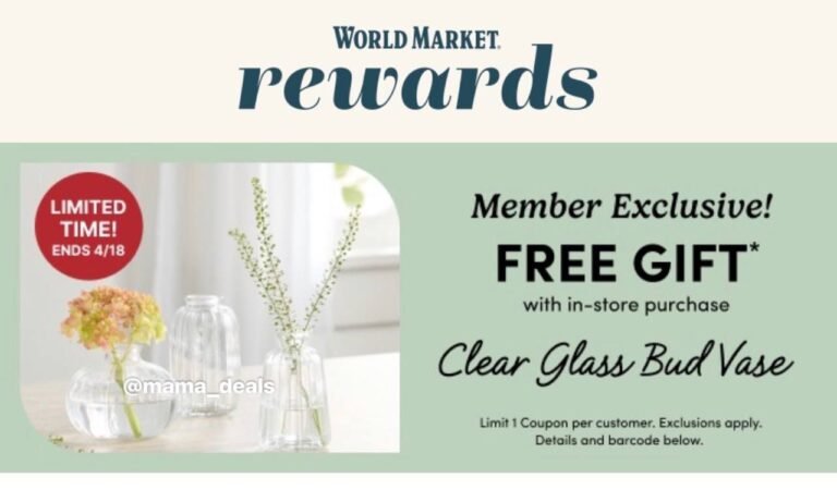 WhatsApp Image 2026-04-17 at 21.47