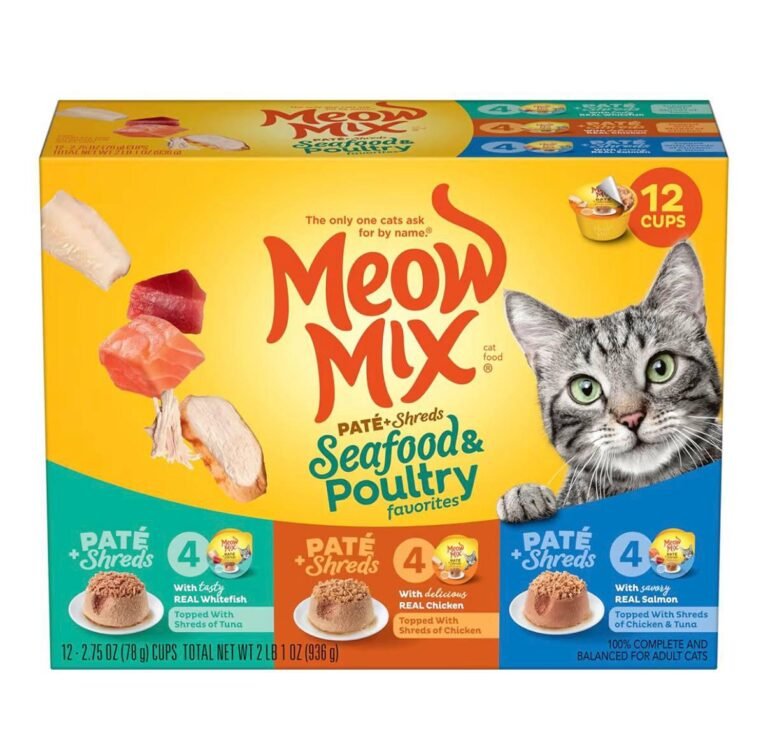 WhatsApp Image 2026-04-20 at 03.55