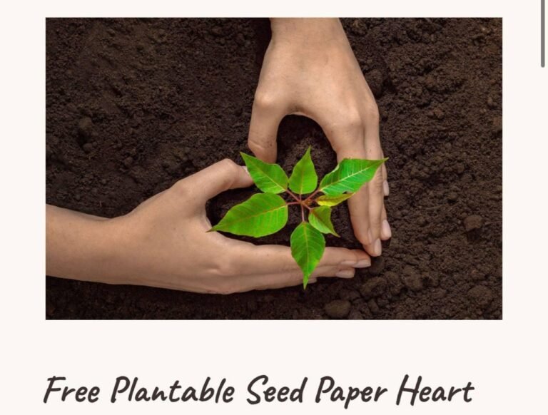 WhatsApp Image 2026-04-22 at 02.23