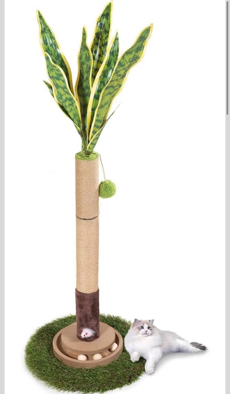 WhatsApp Image 2026-04-22 at 21.25