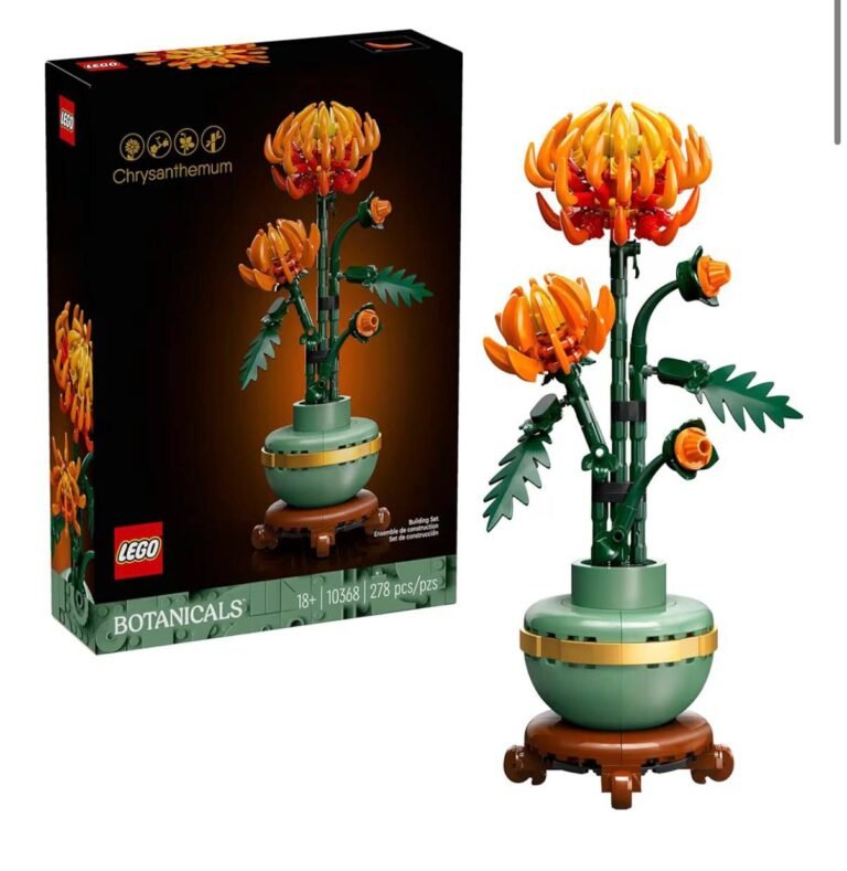 WhatsApp Image 2026-04-26 at 03.53