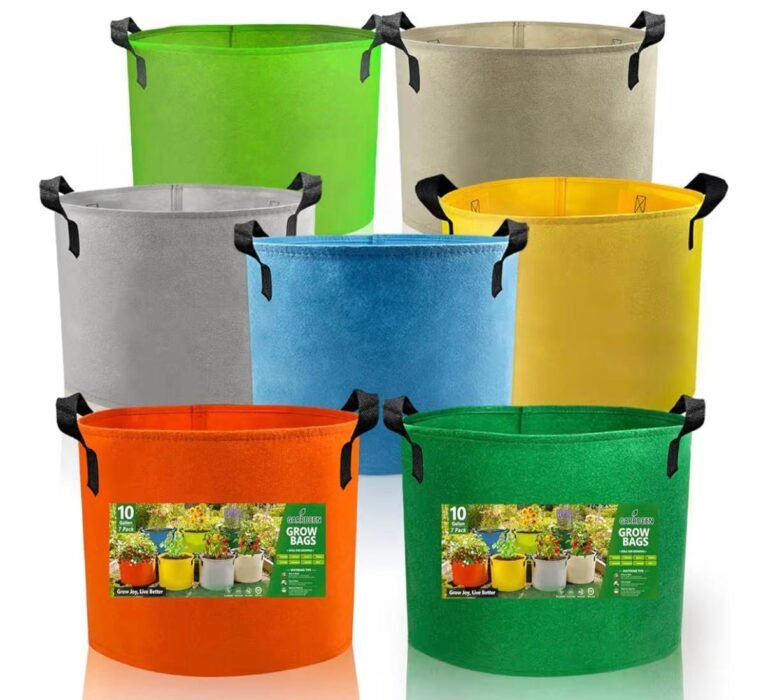 WhatsApp Image 2026-04-26 at 03.58