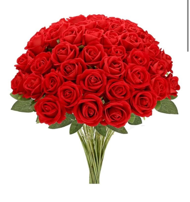 WhatsApp Image 2026-04-27 at 03.53